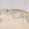 Couchtisch versteinertes Holz 57260