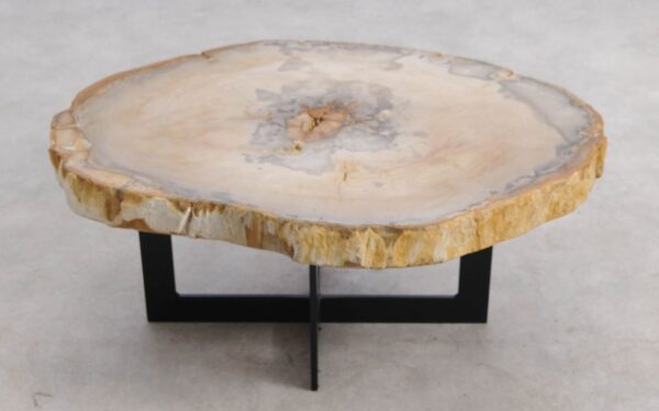 Couchtisch versteinertes Holz 57260