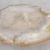 Couchtisch versteinertes Holz 57262