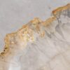 Couchtisch versteinertes Holz 57262