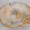 Couchtisch versteinertes Holz 57263