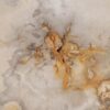 Couchtisch versteinertes Holz 57263