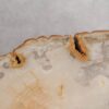 Couchtisch versteinertes Holz 57263