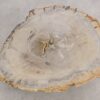 Couchtisch versteinertes Holz 57272