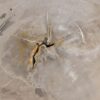 Couchtisch versteinertes Holz 57272