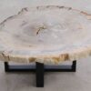 Couchtisch versteinertes Holz 57272