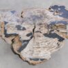 Couchtisch versteinertes Holz 58255