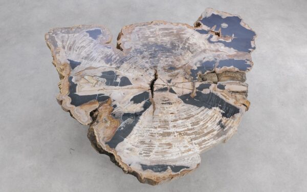 Couchtisch versteinertes Holz 58255