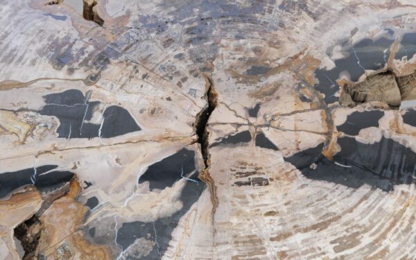 Couchtisch versteinertes Holz 58255