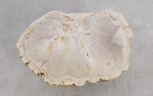Mesa de centro madera petrificada 56168