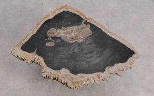 Mesa de centro madera petrificada 56169