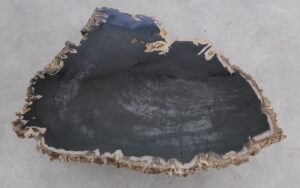 Mesa de centro madera petrificada 56171