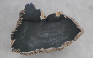 Mesa de centro madera petrificada 56172