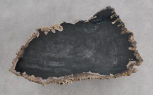 Mesa de centro madera petrificada 56175