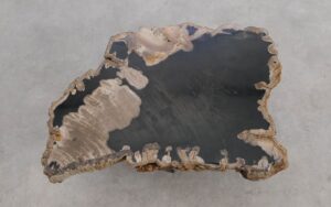 Mesa de centro madera petrificada 56176