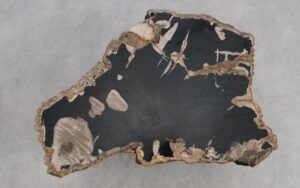 Mesa de centro madera petrificada 56177