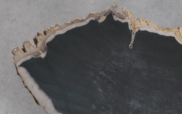 Mesa de centro madera petrificada 56180