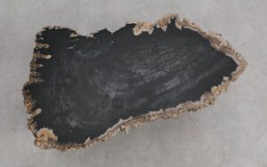 Mesa de centro madera petrificada 56181