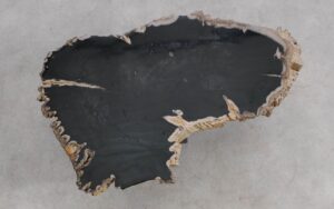 Mesa de centro madera petrificada 56181a