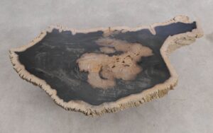 Mesa de centro madera petrificada 56184