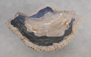 Mesa de centro madera petrificada 56185