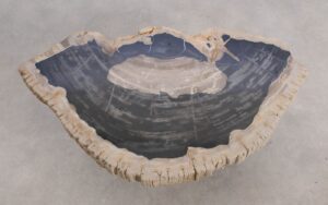 Mesa de centro madera petrificada 56186