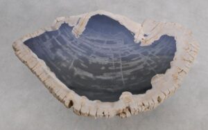 Mesa de centro madera petrificada 56188
