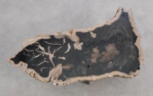 Mesa de centro madera petrificada 56190