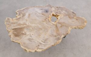 Mesa de centro madera petrificada 56196