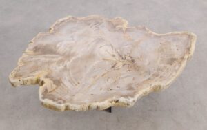 Mesa de centro madera petrificada 56197