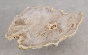 Mesa de centro madera petrificada 56198