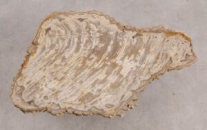 Mesa de centro madera petrificada 56200