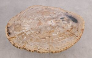 Mesa de centro madera petrificada 56204