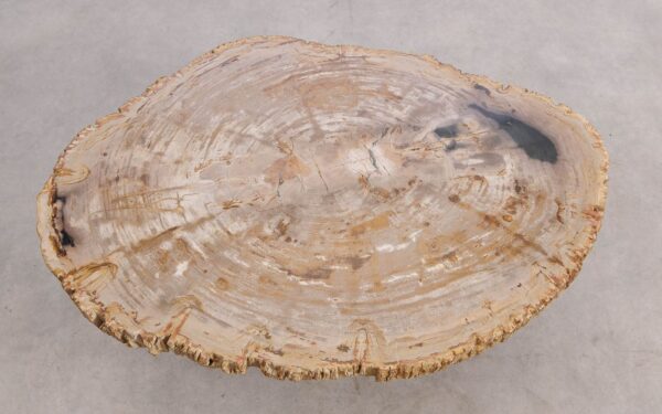 Mesa de centro madera petrificada 56204