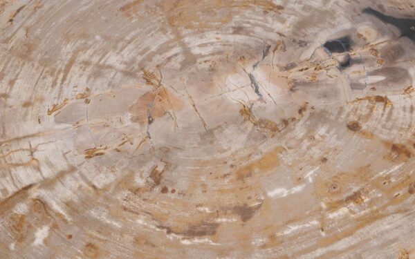 Mesa de centro madera petrificada 56204