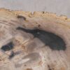 Mesa de centro madera petrificada 56204