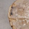 Mesa de centro madera petrificada 56204