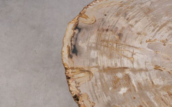 Mesa de centro madera petrificada 56204