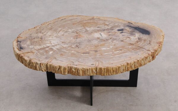 Mesa de centro madera petrificada 56204