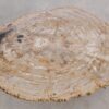 Mesa de centro madera petrificada 56205