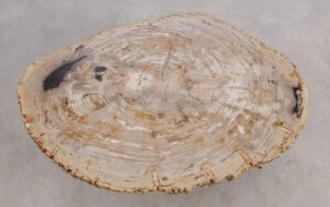 Mesa de centro madera petrificada 56205