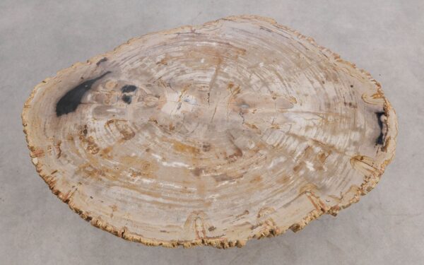 Mesa de centro madera petrificada 56205