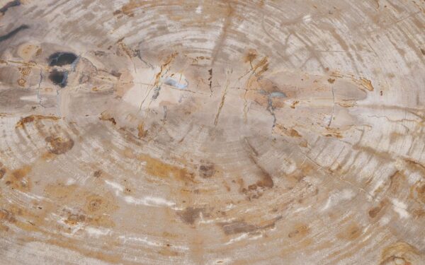 Mesa de centro madera petrificada 56205