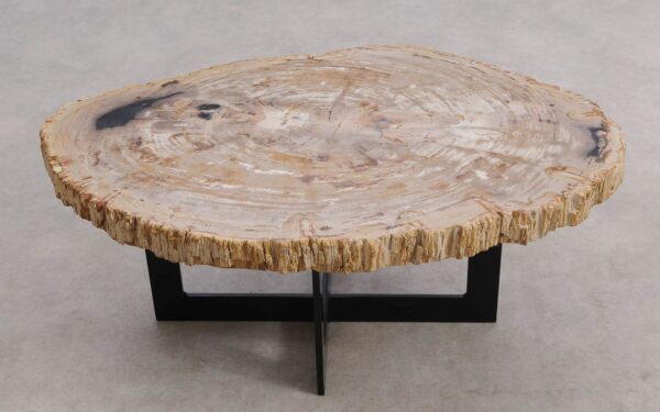 Mesa de centro madera petrificada 56205