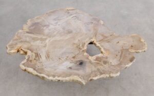 Mesa de centro madera petrificada 56206