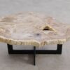 Mesa de centro madera petrificada 56206