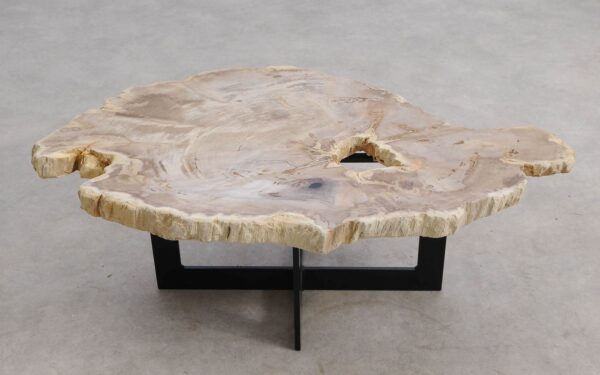 Mesa de centro madera petrificada 56206