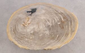 Mesa de centro madera petrificada 56207