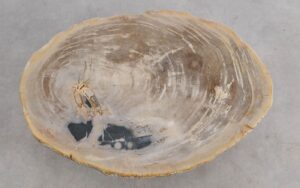 Mesa de centro madera petrificada 56208