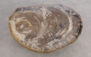 Mesa de centro madera petrificada 56212